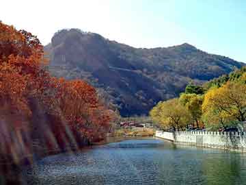 澳彩资料免费长期公开，露地大葱种植技术视频